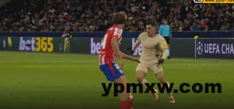 44bfc871g00sqvb5z03odd000cx0062g