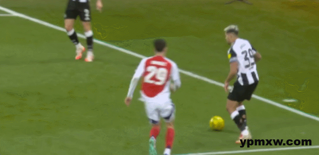 19906162g00sr8dgm06ogd000th00ecc