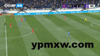 81017f43g00srbbpi05xbd000ao0061g