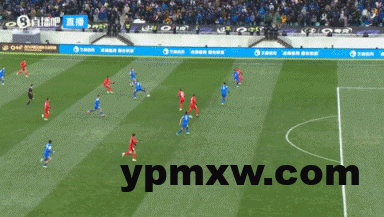 812c6999g00srbbpi05lwd000ao0061g