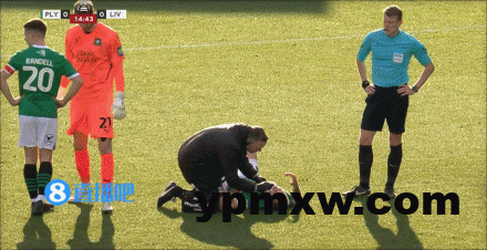 f5b08e55g00srfyvd05qhd000c8006ag-1