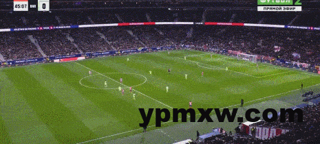 01badfdfg00st94d303red000cx005um