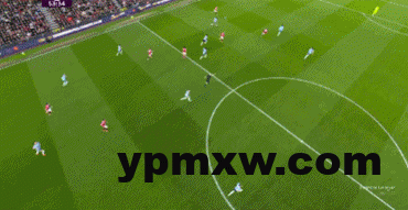 17455173g00ssvseo03fpd000aa005bm