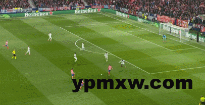 29236c8ag00st132h03v1d000ba005sg