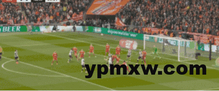 2f4a08adg00st8pzs011gd000by004ym