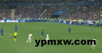 362bef7eg00stlp2r01fld000b5005rm