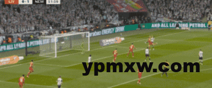 429fd059g00st8pzs011rd000by004ym