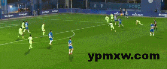 4e8b2fc1g00ste10a04dud000fg006fg-1