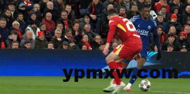 54879614g00ssz8fh06idd000ax005eg-1