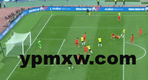 7430d649g00stogmf0153d0008g004lm