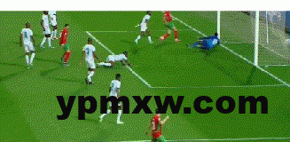 85d048adg00sthynl00sid00093004gm