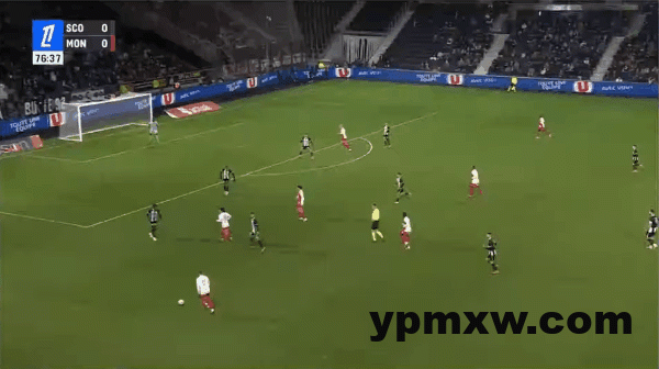 caa69498g00st970t03qld000go009cc