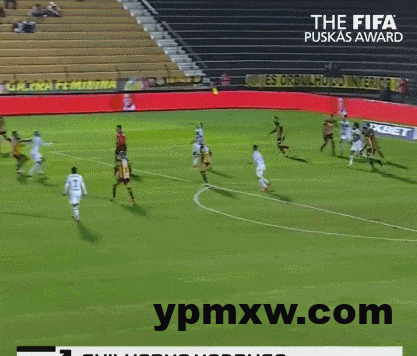 e50b3c43g00stlxle01gvd000bl009wg