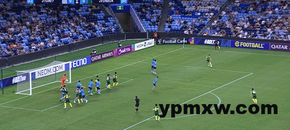 edd1ed7fg00st23u002y7d000g70079c